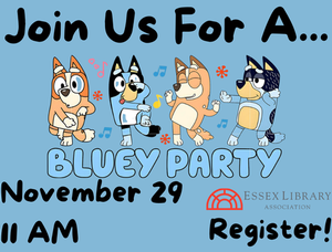 Bluey Party Bluey Party
